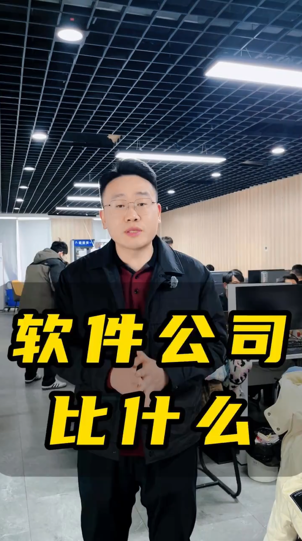 软件公司应该比什么——蓝果网络